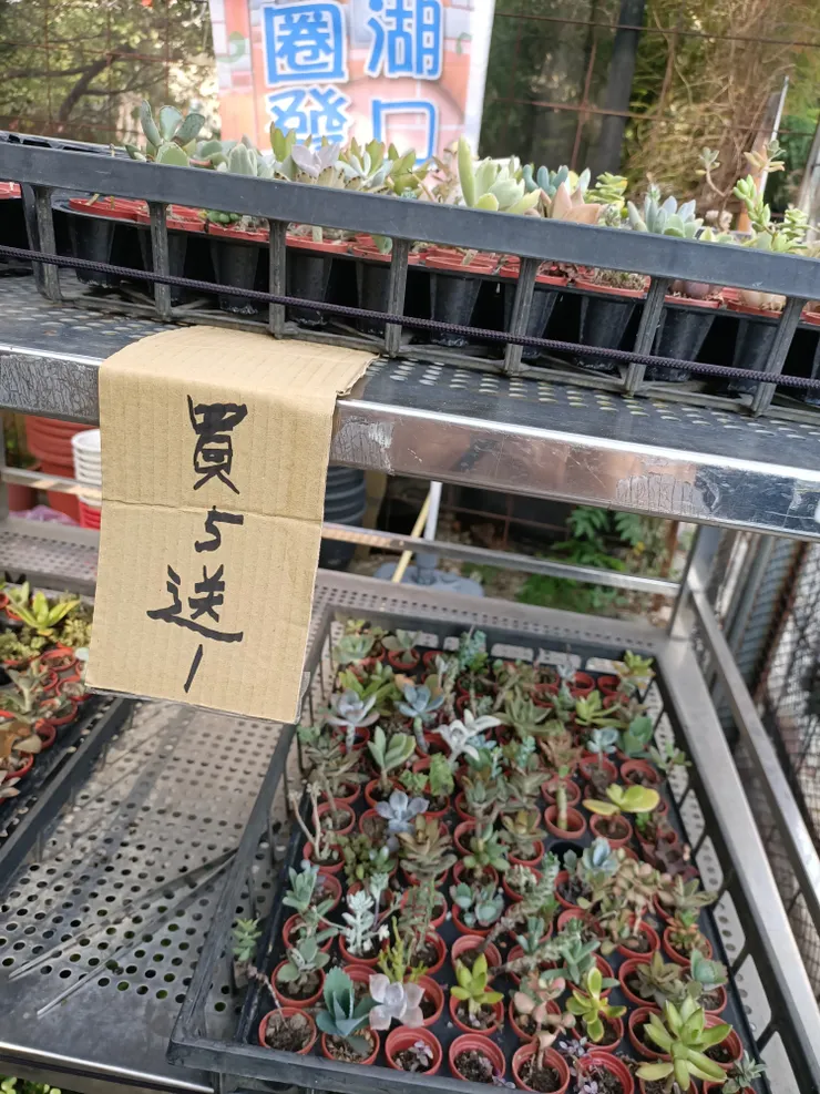 買5送1