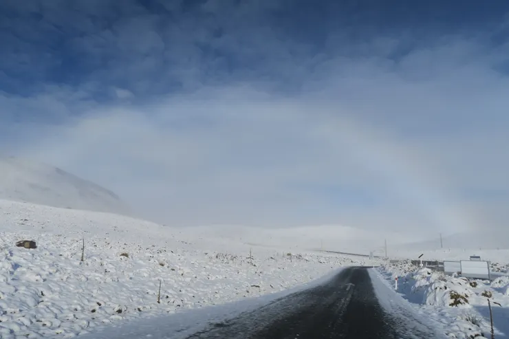 霧虹,我們的新旅伴