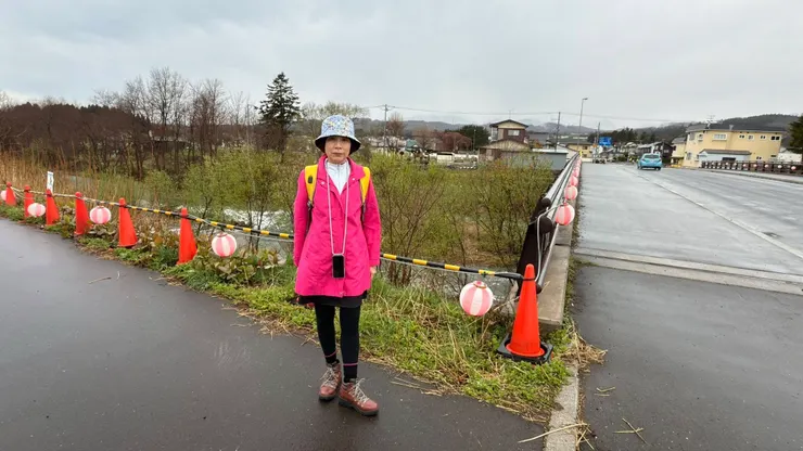 橋上掛燈籠慶祝櫻之迴廊活動