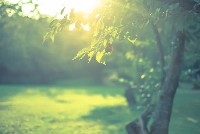 同上 取自photoac.jp