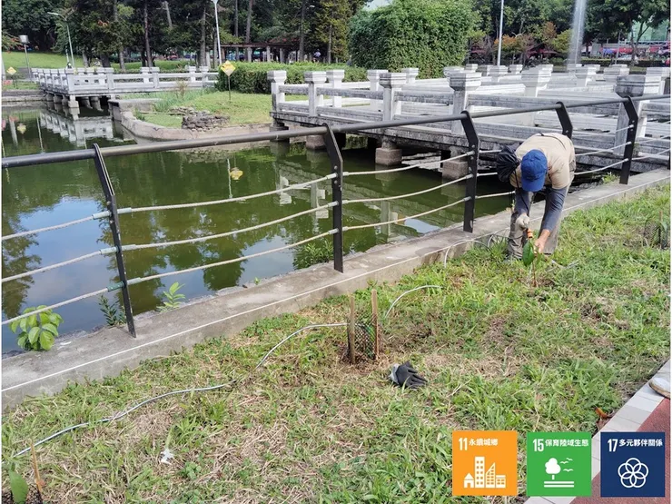 種妥後的澆水照護