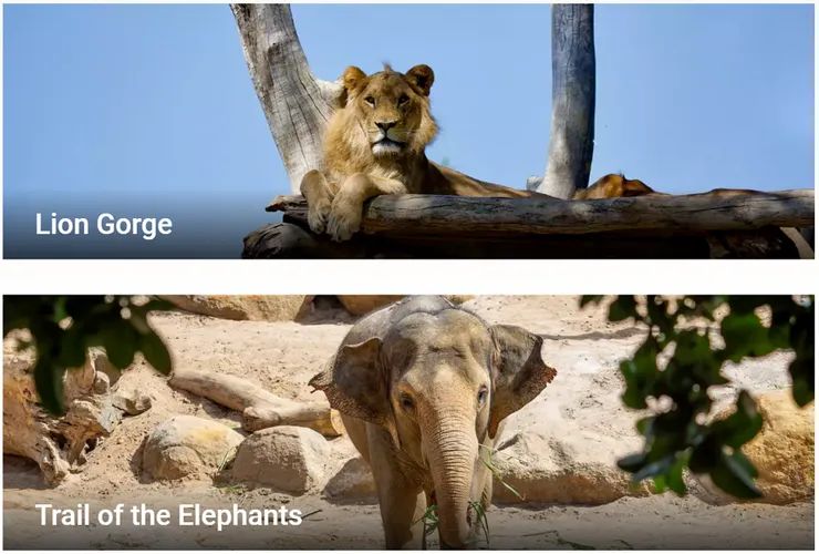 資料來源：官網