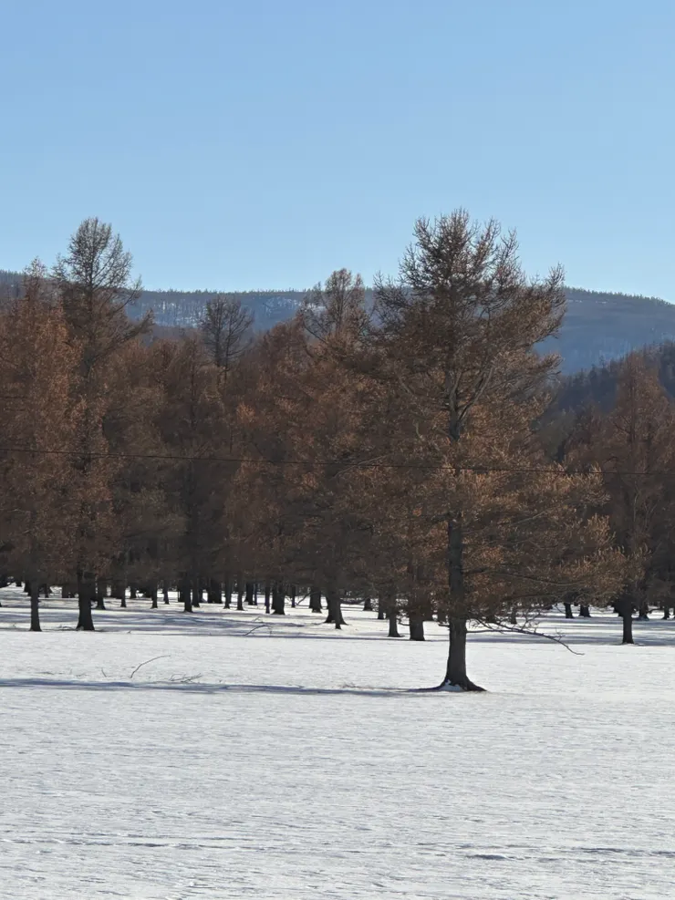 廢老都係望下花花草草