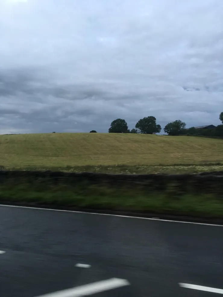 計程車外煙雨濛濛景色