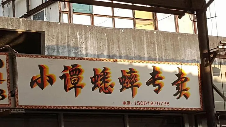 幾年後回想，我兒子應該也會超愛這個一般旅人不會誤入的叢林