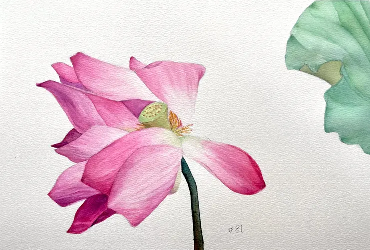 圖YHCC@水彩練習W81, 38x26cm, MAR2025