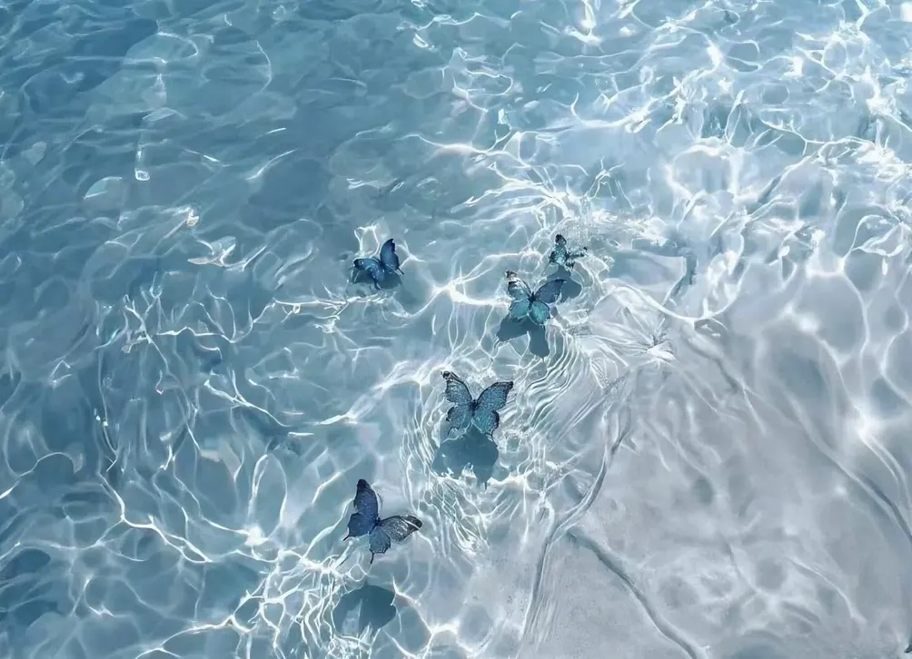 芮妮妮爺NiBe's食旅日常