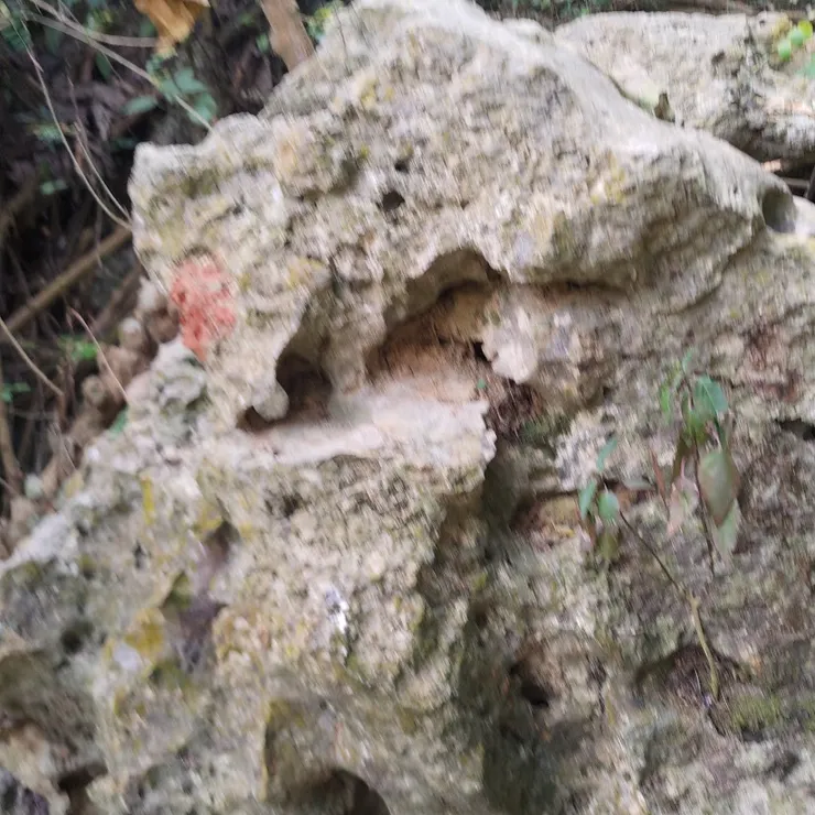 慌張到沒辦法好好拍照