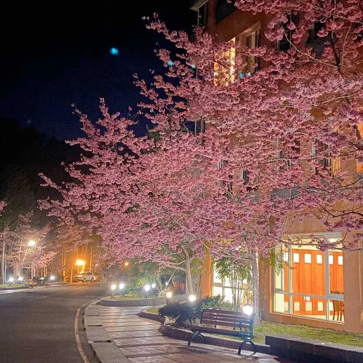 杉林溪森林生態渡假園區 杉林溪主題會館