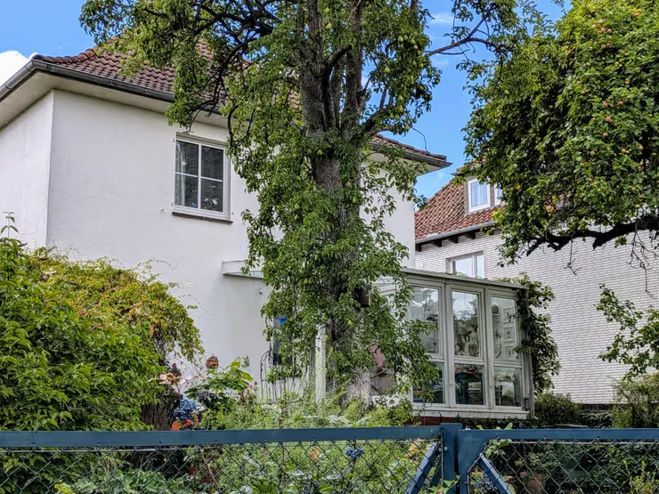 Photo: Zora @ Uelzen, Germany. Aug 2, 2025.