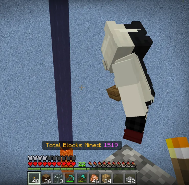 駭客一格空島生存 我和我姐在看岩漿水