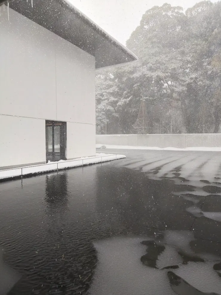 大家應該看得出來,真的是下大雪