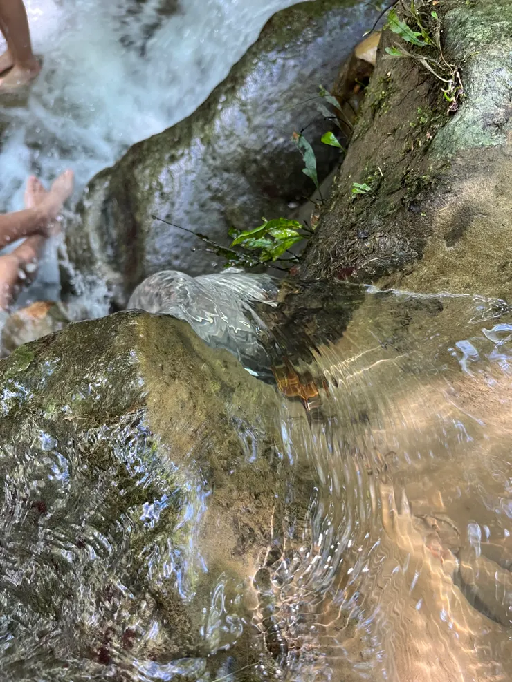 順便推薦蘭溪，超級乾淨的溪水~
