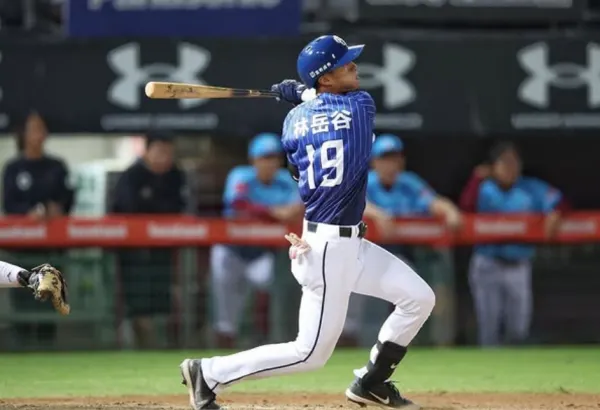 (圖/ 林岳谷 @y.k.lin19) 