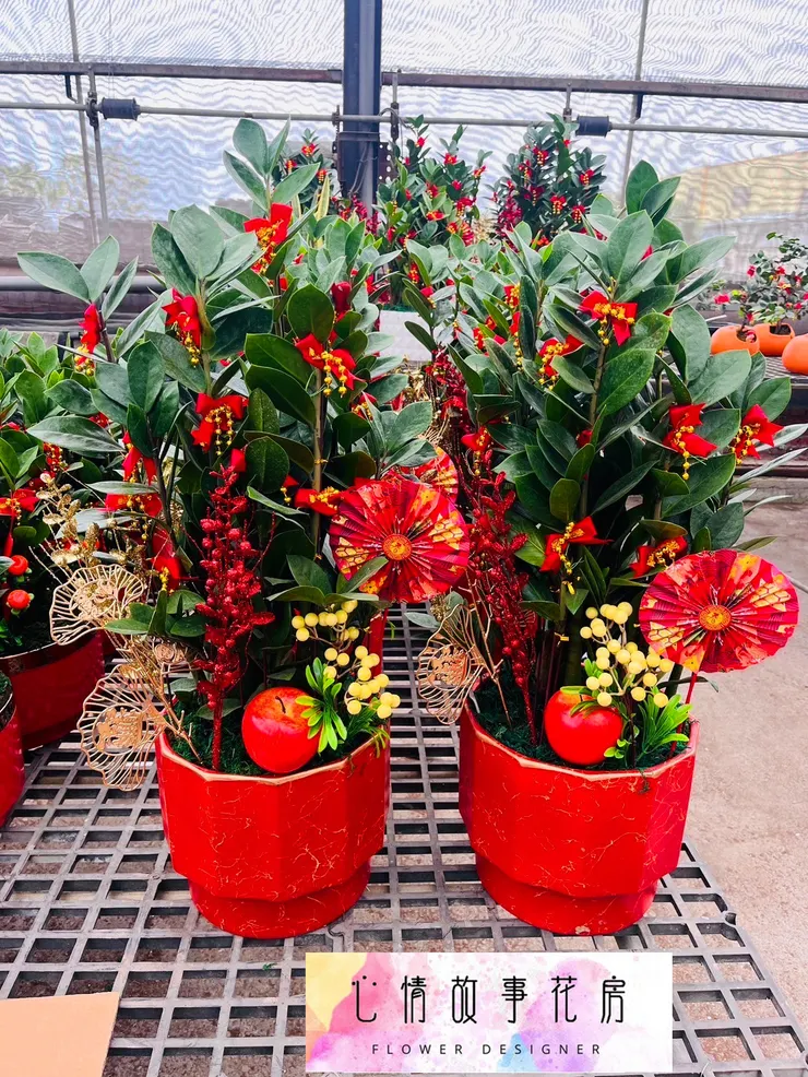 台南人推薦的開工植物盆栽！企業、銀行、醫院愛用，招財又大器！