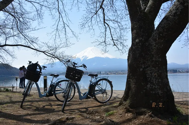 河口湖濱一景 ([陳傳義]拍攝)