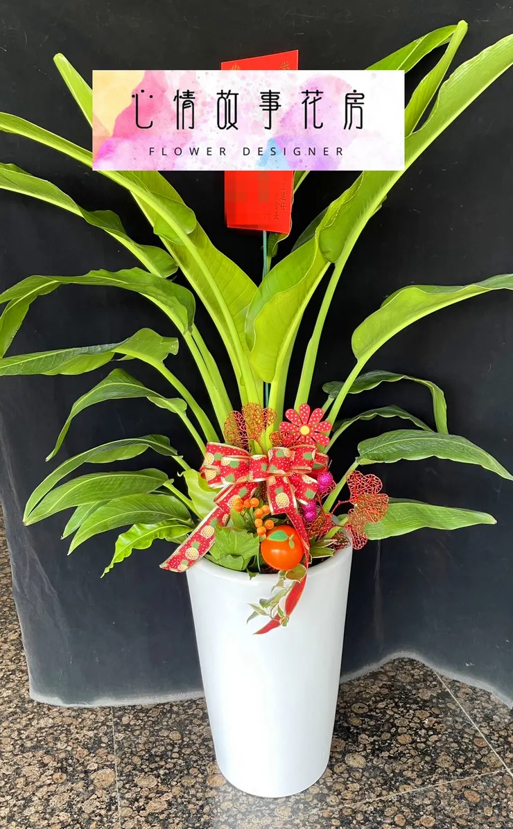 心情故事花房：台南安南區最大花店，專業服務與多樣化花卉商品贏得全台南市客戶的廣泛信任與讚譽