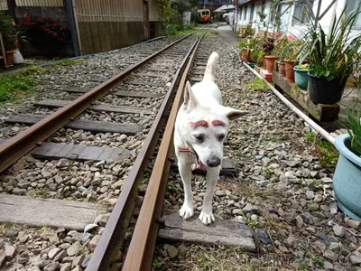 蹲久了，總會彈高的！！