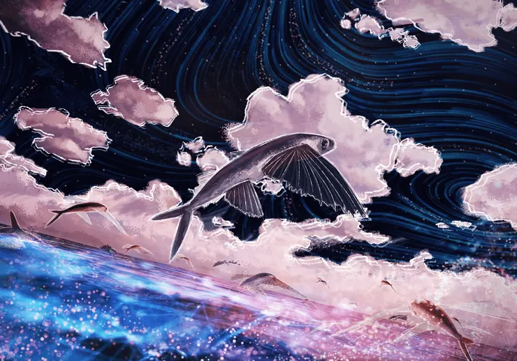 (圖片來源:https://www.kff.tw/film/content/4596)