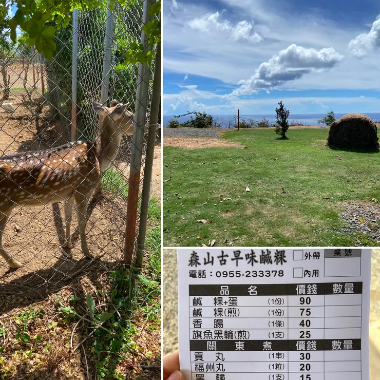 森山古早味鹹粿，一個簡單的景點吃午餐、看海，加碼餵小鹿