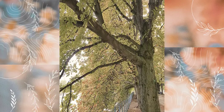 photo by aha_handmade 子非余