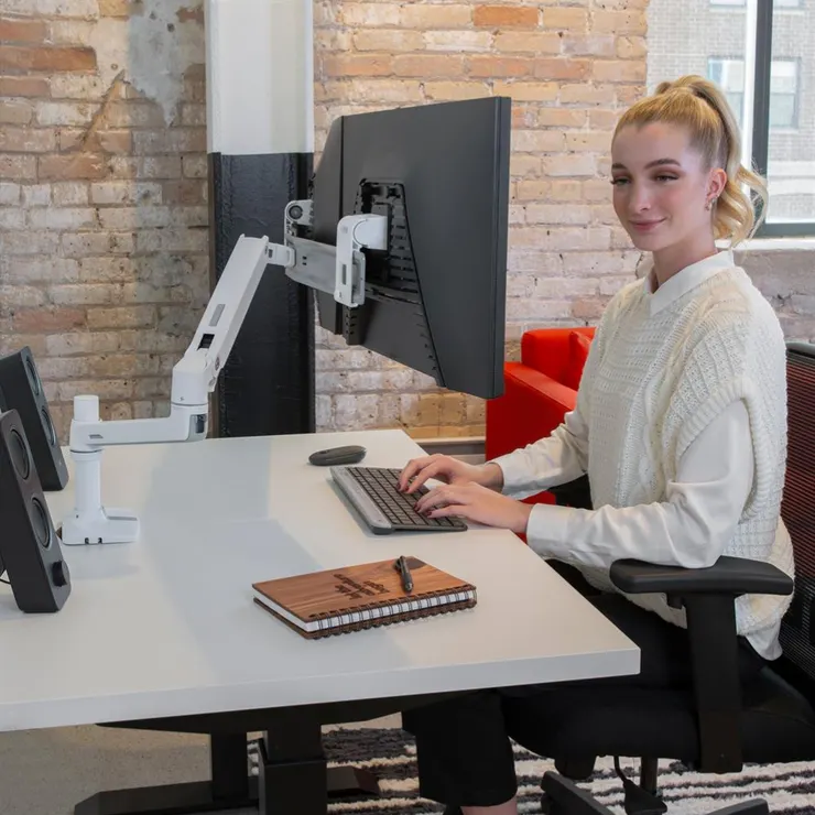 Ergotron Monitor Arm