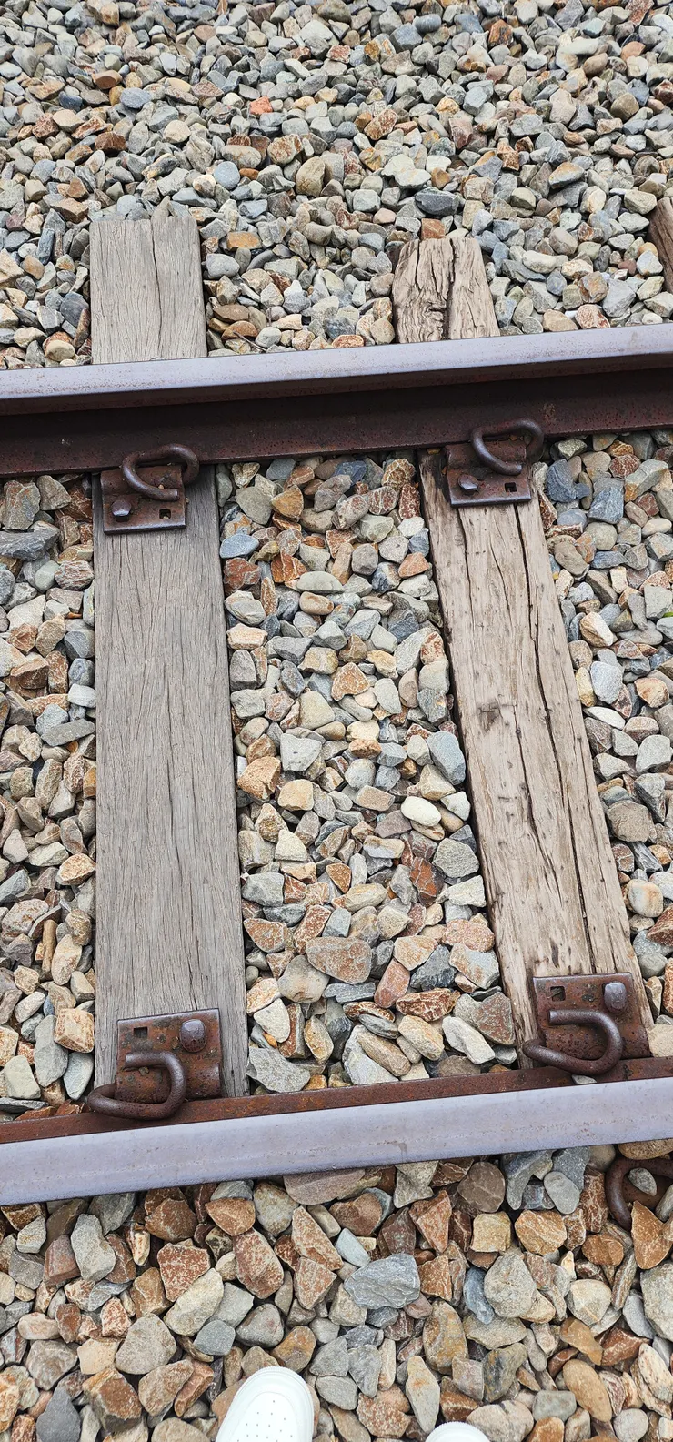 好去處，就是人多了點