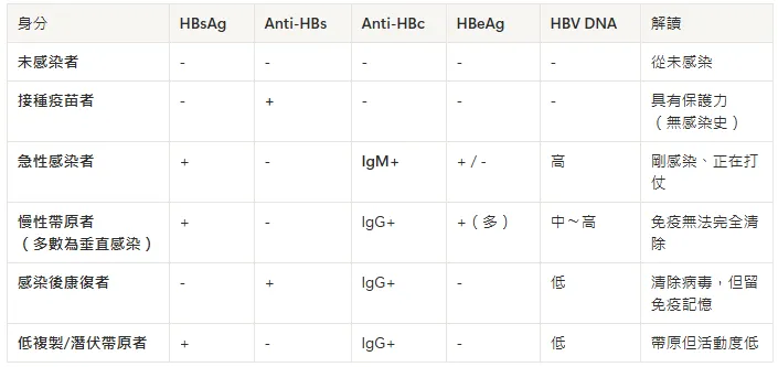 六種B肝相關身分