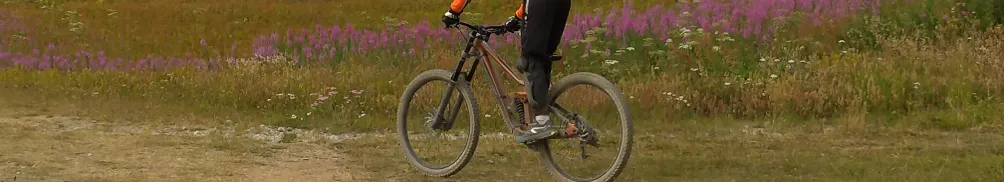 宇宙空神的沙龍