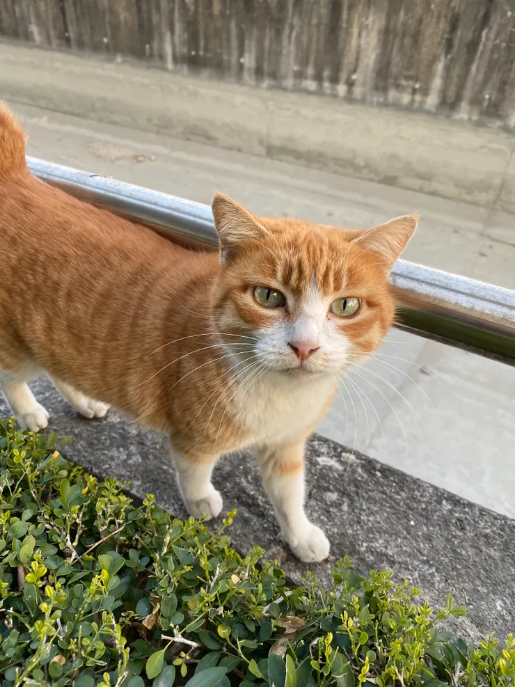 居然會看鏡頭😻