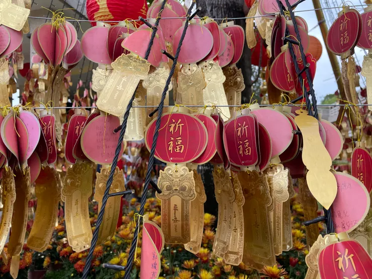 我把我的祈福卡和大家掛在一起，中間的那個是我的。