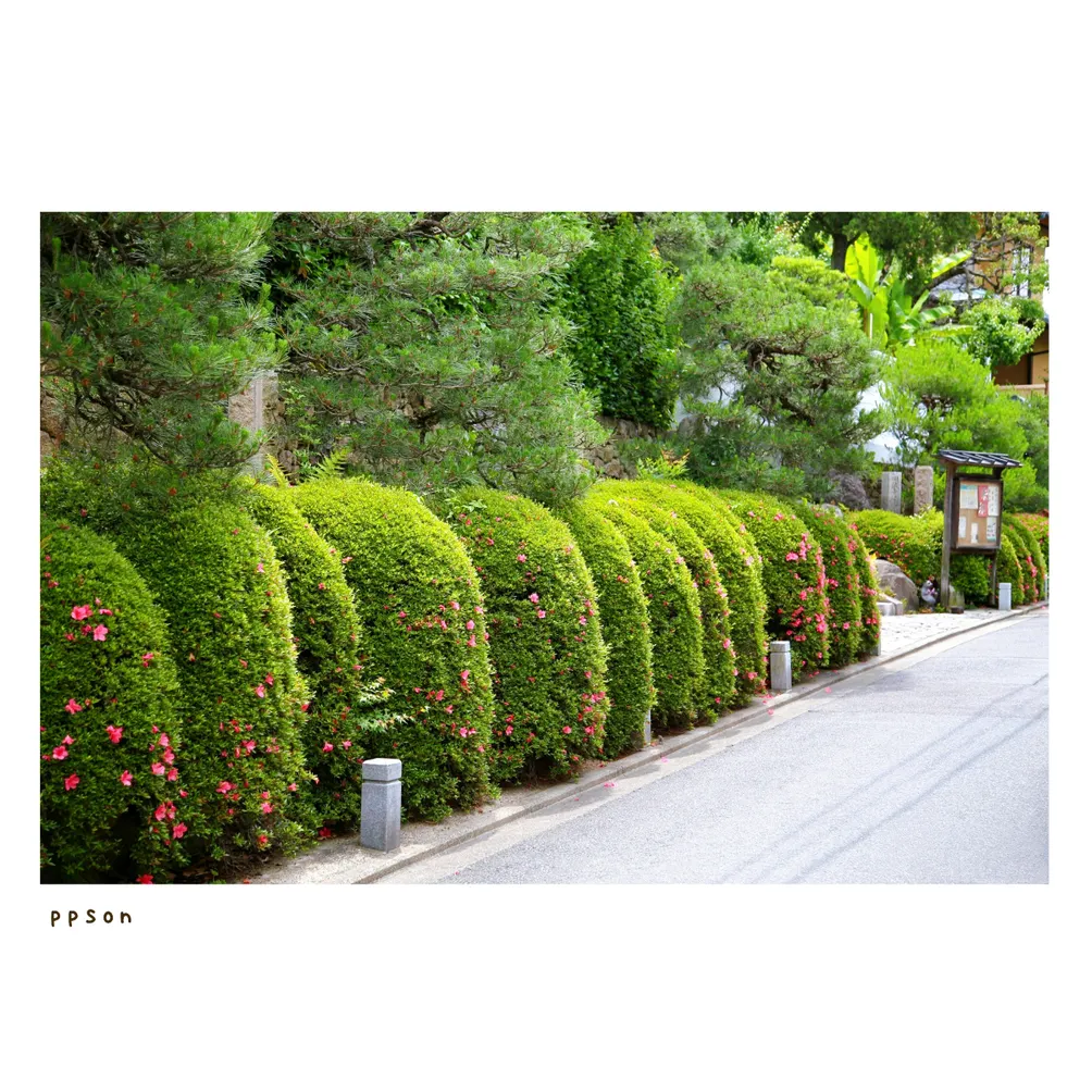 路地裏的臭皮君