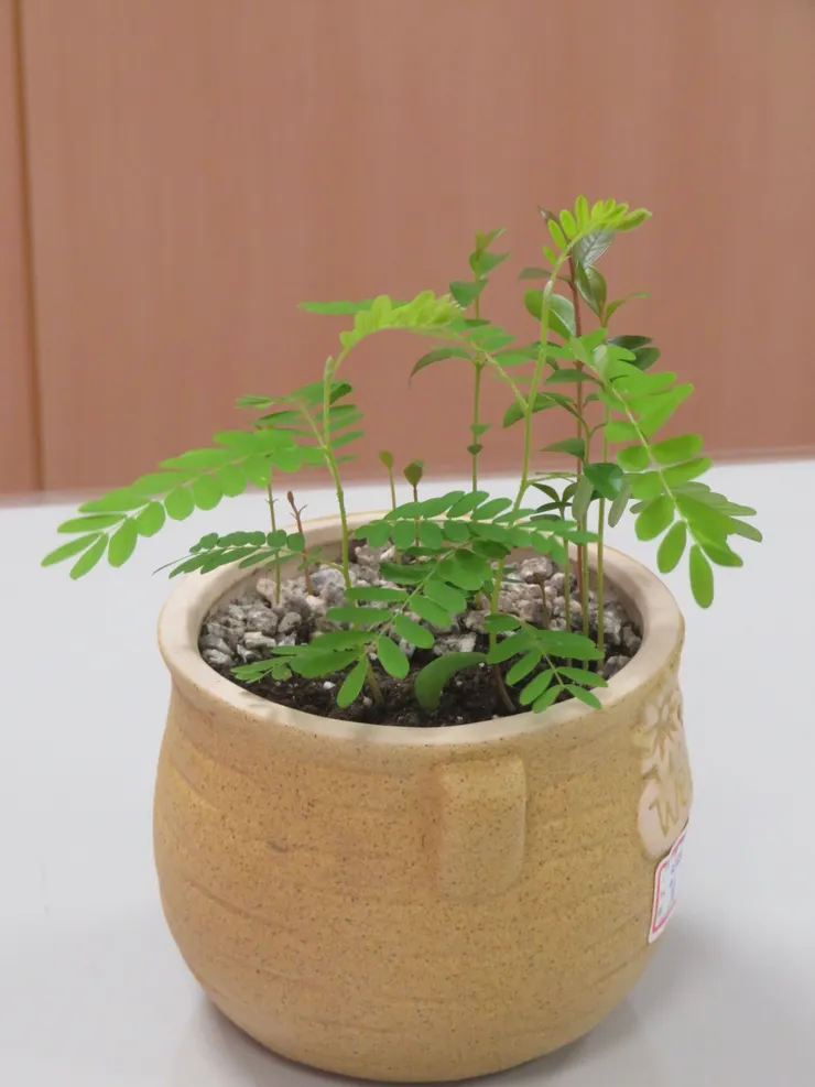 蘆洲慈濟111.05.05