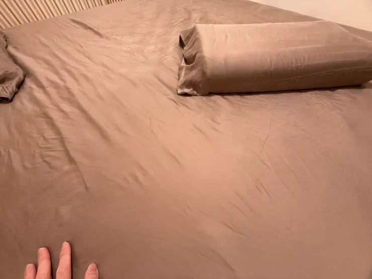 這是天絲系列，看這程度，因為孩子們剛剛在玩枕頭戰😆