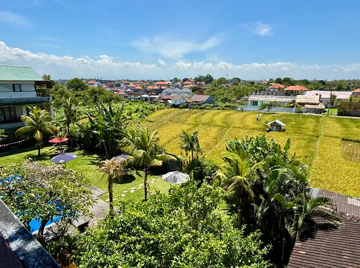 隨著城市開發的腳步，僅存的稻田也成了觀光產業主打「懷舊風情」的一抹風景