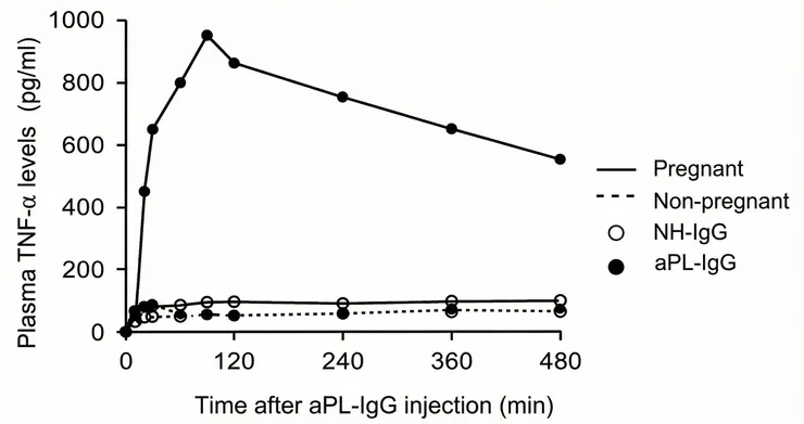 上圖顯示只有懷孕第8天的老鼠在注射aPL ab後會在peripheral blood抽到TNF alpha上升，20分鐘時TNF-alpha濃度差異達到顯著意義，並在60分鐘達到頂峰。(Berman et al., J Immunol., 2005)
