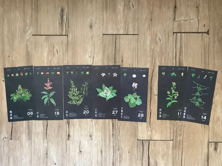 第一名要頒給意想不到的芒果花；野茼蒿和恆春薯蕷是遺珠。