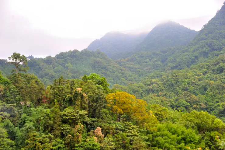 【山行玫瑰簡餐裹腹佐配雲山壯麗 不知明日如何仍要相約來年再聚】