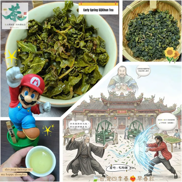 松柏嶺🐌台灣四季春(早春茶)