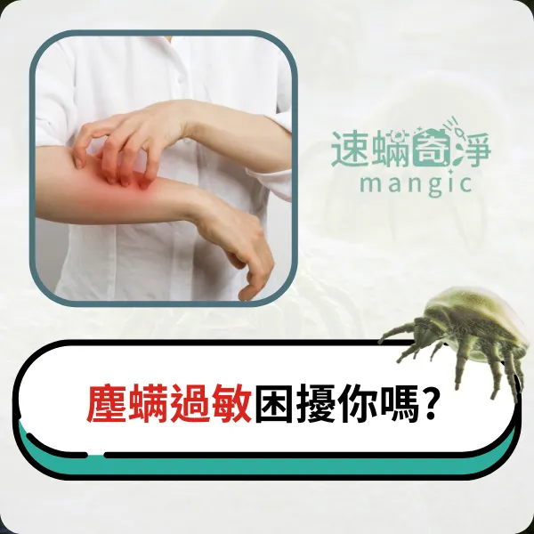 新北除螨推薦.台北除螨推薦.除塵螨推薦.除螨推薦.速螨奇淨