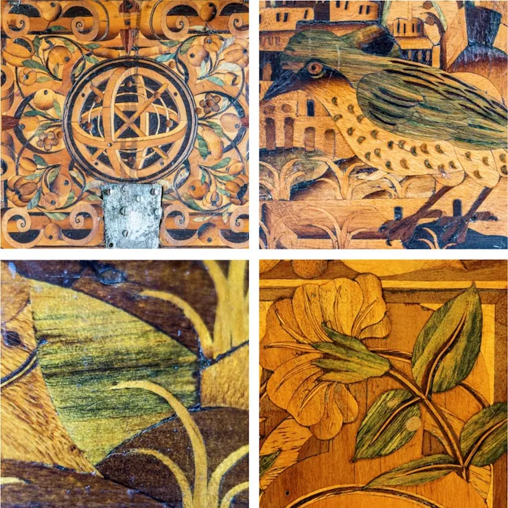 由真菌侵食產生的綠松石色