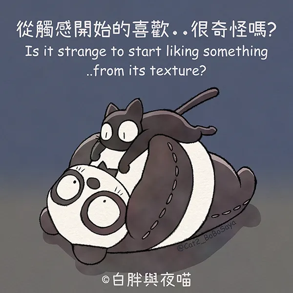 #白胖與夜貓最初的相遇