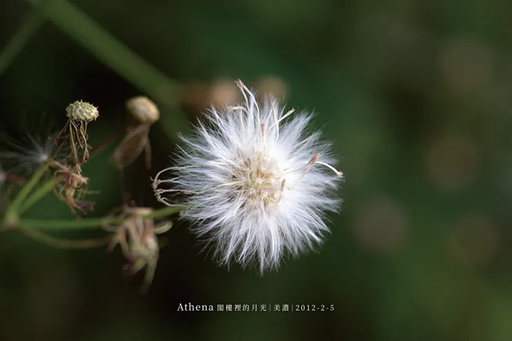 攝於高雄美濃-2012-02