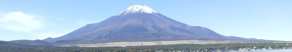 志遠（シオン）的沙龍