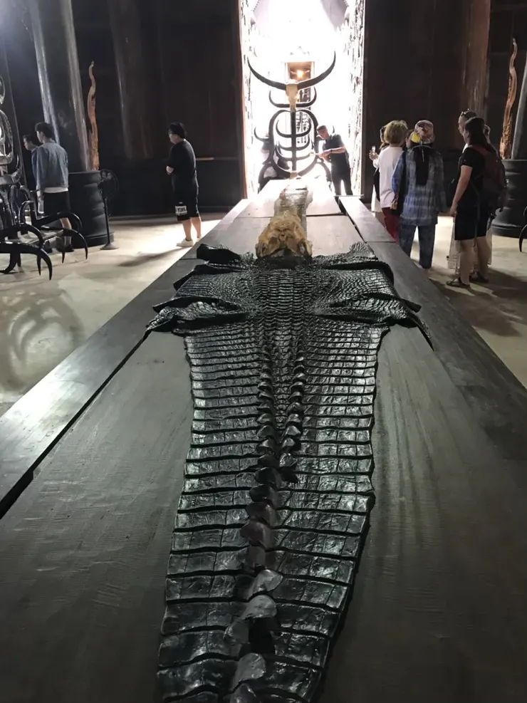 超大桌子上擺放鱷魚皮