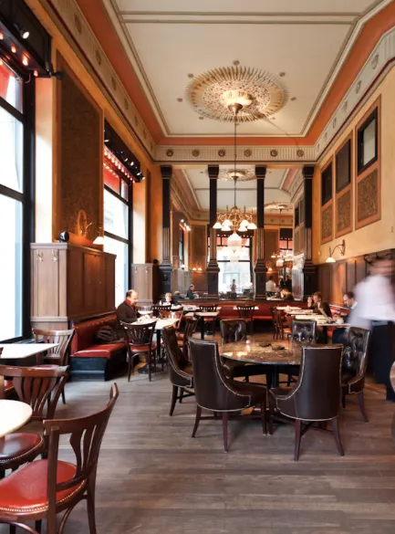 以上圖片取自官網