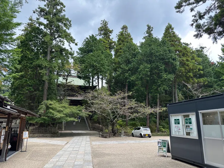 空氣清新、大樹林立的圓覺寺