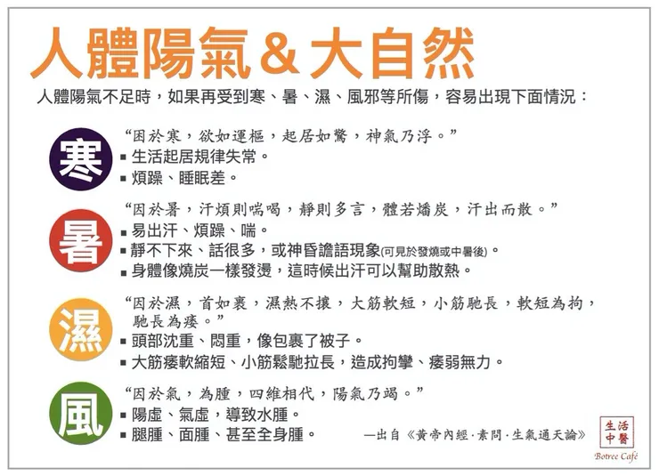 中醫看大自然與環境中的寒、暑、濕、風，對於人體的影響