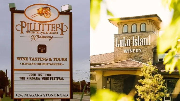 左為尼加拉瀑布附近的酒莊,右邊為溫哥華的酒莊