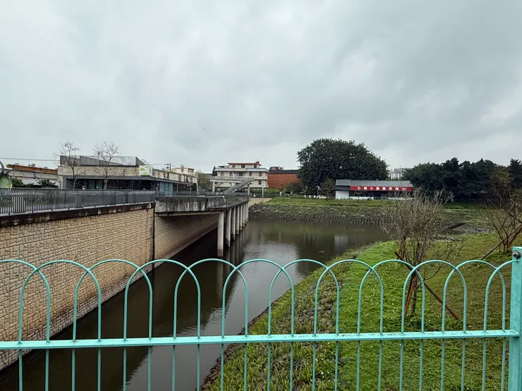 2026/03/10 漂亮的廟往外看埤塘